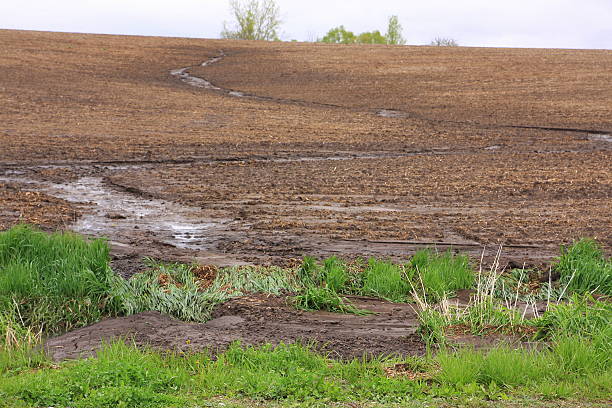 istock Water Flowing in Farm Field Creates Erosion 525739208