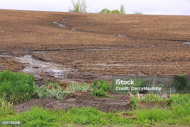 Water Flowing In Farm Field Creates Erosion Stock Photo - Download Image Now - Eroded, Dirt, Agriculture