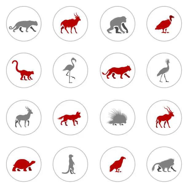 Vector illustration of African Animal Icons