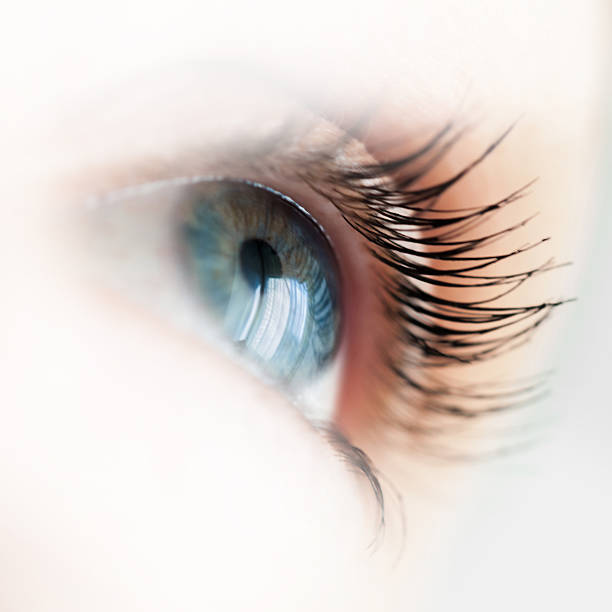 istock Beautiful macro world of eyes 525739904