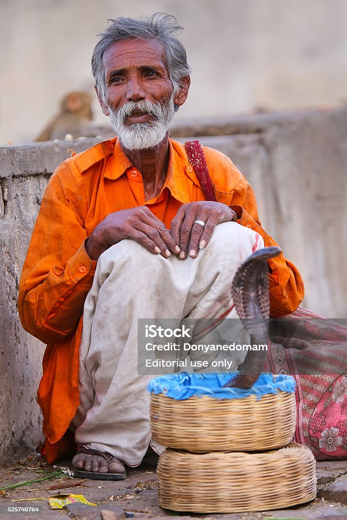 Local snake charmer sitting in the street of Jaipur, Rajasthan, Jaipur, India - November 14, 2014: Local snake charmer sitting in the street of Jaipur, India. Jaipur is the capital and largest city of the Indian state of Rajasthan. Adult Stock Photo