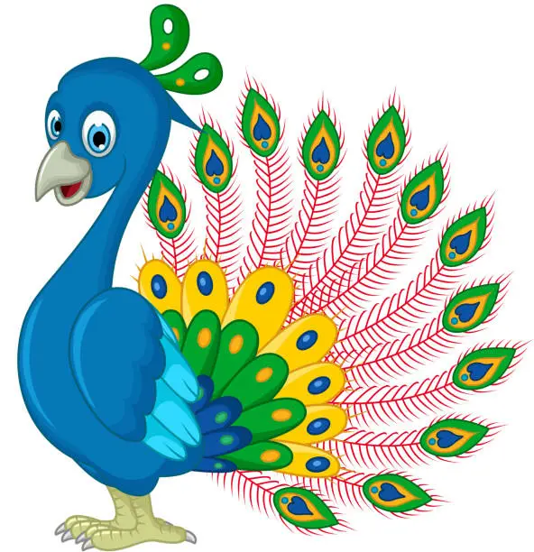 Vector illustration of Peacock cartoon for you design