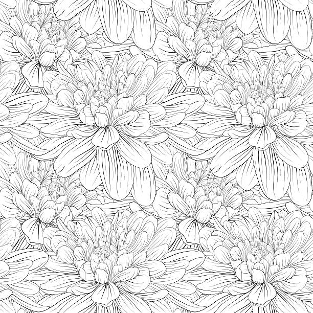 illustrazioni stock, clip art, cartoni animati e icone di tendenza di bellissimo monocromatico, bianco e nero di sfondo senza soluzione di continuità con i fiori dalia. - single flower chrysanthemum design plant