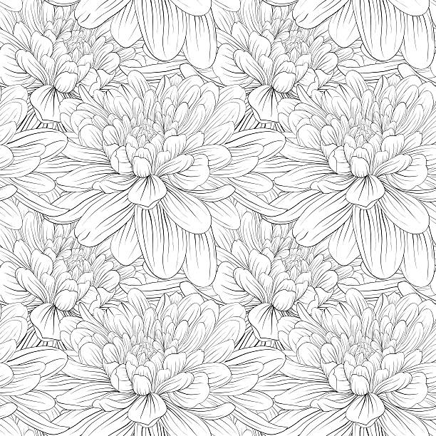 piękna monochromatyczne, czarne i białe bezszwowe tło z kwiatów dalia. - chrysanthemum single flower flower pattern stock illustrations