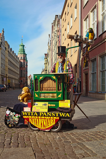 Gdansk, Poland -July 14, 2013:Senior organ grinder with a parrot. Architecture of the Old Town in the background, Gdansk, Poland