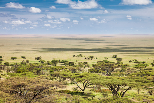 The vast plains of the Serengeti, Tanzania, Africa