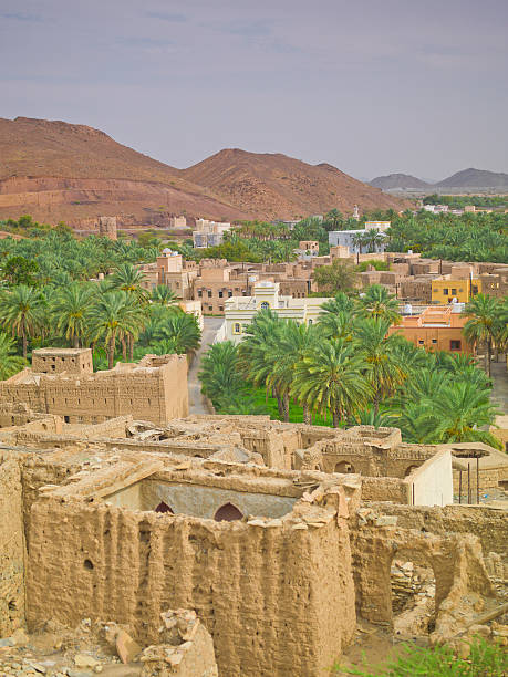 Village in a palm tree oasis, Birkat Al Mauz, Oman Birkat Al Mauz, Oman: A ghost town in the way to the "Green Mountains”. phoenix stone stock pictures, royalty-free photos & images