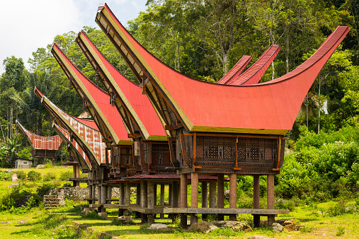 Traditional village of residential buildings with decorated facade and boat shaped roofs. Tana Toraja, South Sulawesi, Indonesia.