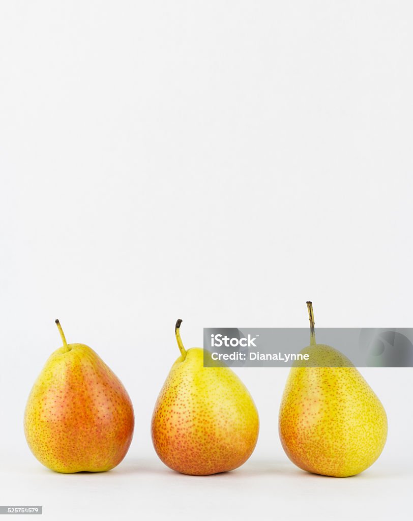 Three forelle pears Close-up of three bell shaped forelle pears, with a white background.  Forelle pears are an old heirloom variety, originating from Germany. Pyrus communis 'Forelle' Forelle Pear Stock Photo