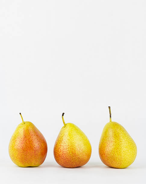Three forelle pears Close-up of three bell shaped forelle pears, with a white background.  Forelle pears are an old heirloom variety, originating from Germany. Pyrus communis 'Forelle' forelle pear stock pictures, royalty-free photos & images