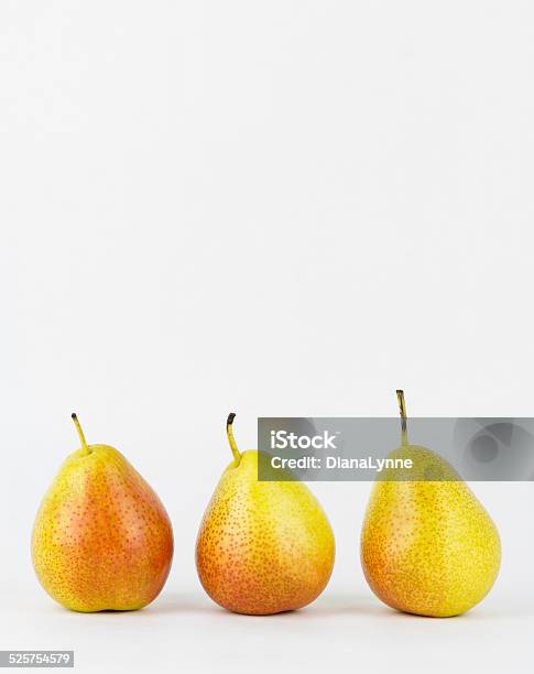 Three Forelle Pears Stock Photo - Download Image Now - Forelle Pear, Close-up, Food