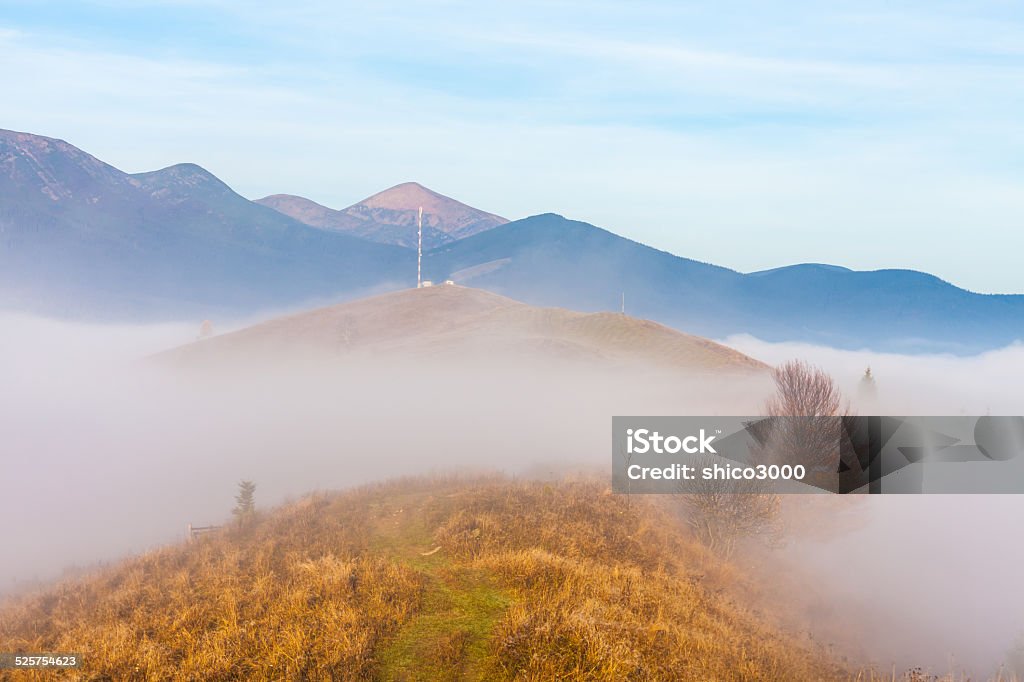 colors blooms in autumn, before cold weather. highland vegetation modest summer and unusually beautiful colors blooms in autumn, before cold weather. Autumn Stock Photo