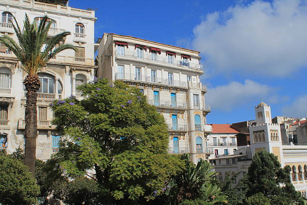 istock Floral Clock Garden in Algiers 525755261