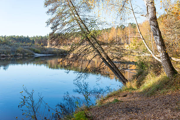 istock scenic autumn colored river in country 525755471