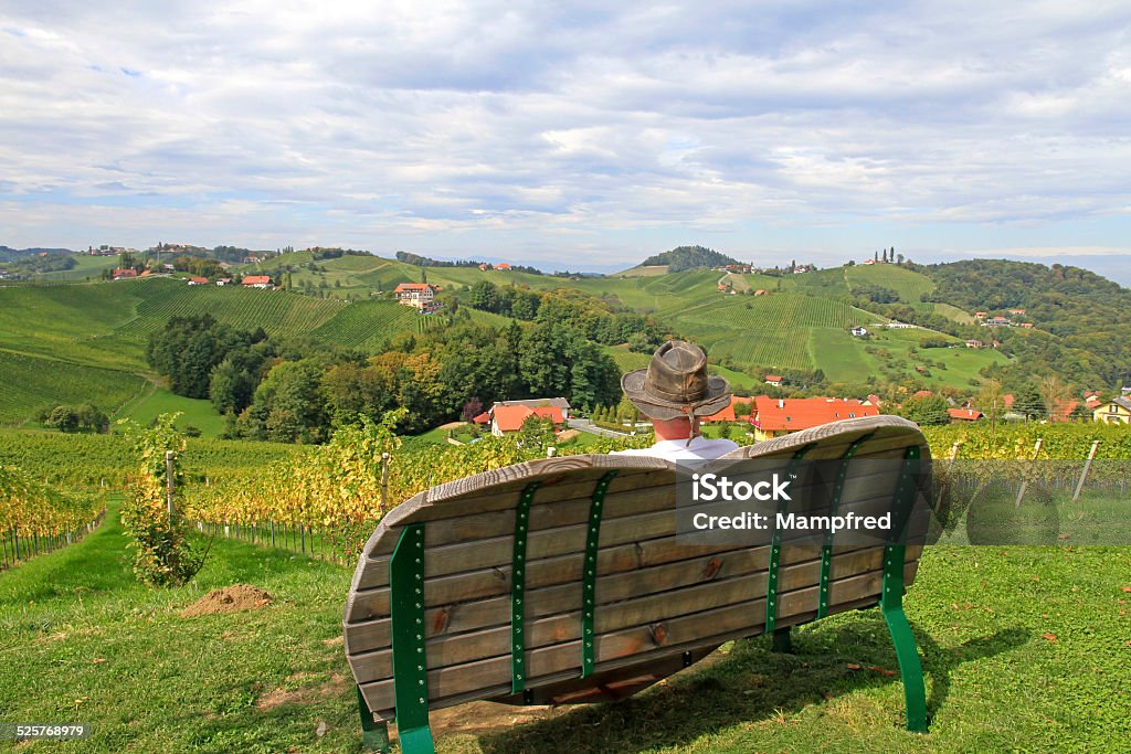 Vineyard A man taking a break on the top of a vineyard in South-Styria, Austria Agricultural Field Stock Photo