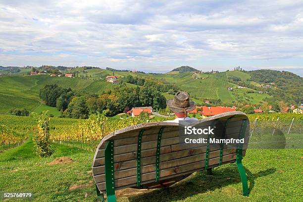 Vineyard Stock Photo - Download Image Now - Agricultural Field, Agriculture, Alcohol - Drink