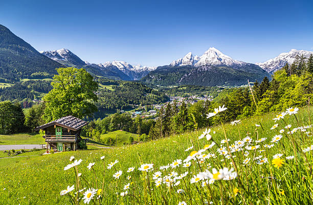 istock Idyllic mountain landscape in the Alps, Bavaria, Germany 525770585