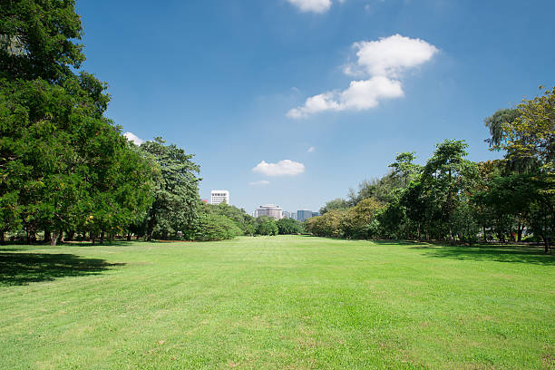 istock city park with modern building background 525770701
