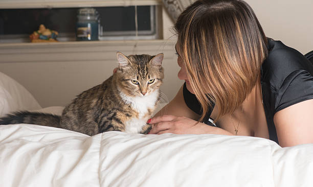 istock Woman playing with her cat 525771025