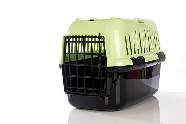 istock open pet carrier isolated on white background 525771725