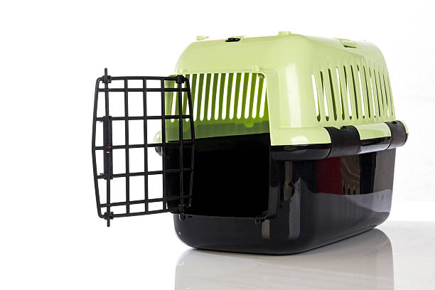 istock open pet carrier isolated on white background 525771727