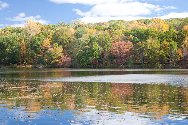 istock Rockefeller State Park Preserve at Autumn 525771855