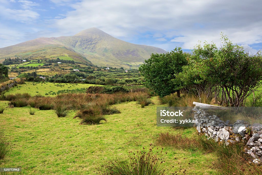 Bellissimo paesaggio con colline e prati. - Foto stock royalty-free di Anello di Kerry