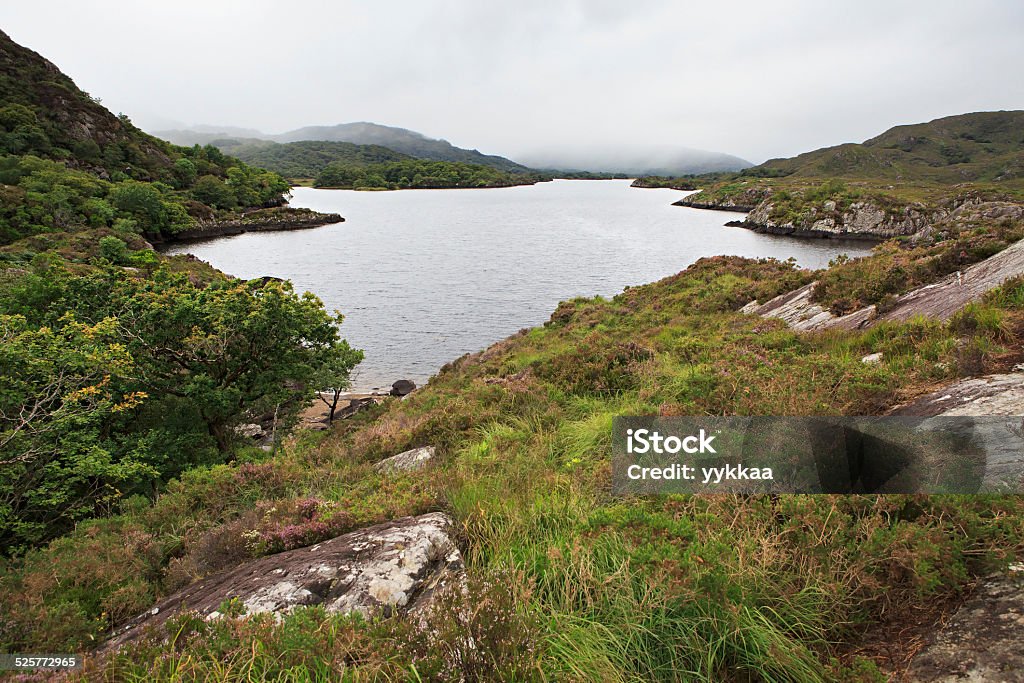 Bellissima tomaia Lago nel Parco Nazionale di Killarney. - Foto stock royalty-free di Ambientazione esterna