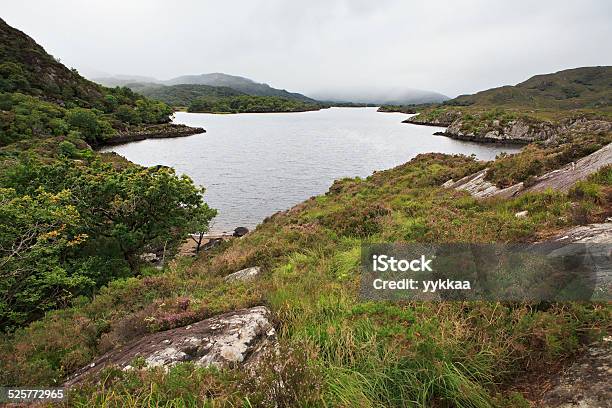 Bellissima Tomaia Lago Nel Parco Nazionale Di Killarney - Fotografie stock e altre immagini di Ambientazione esterna