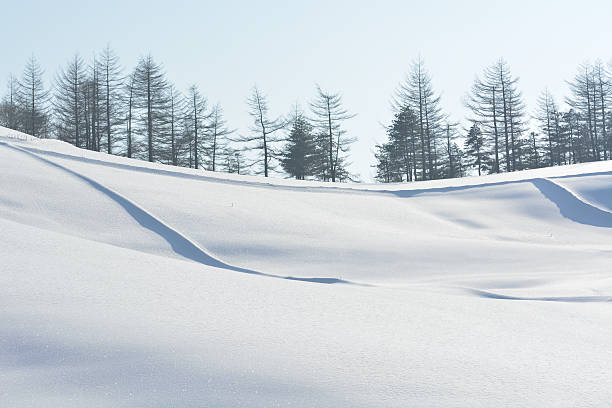 istock Trees covered with white snow of winter hill 525786475