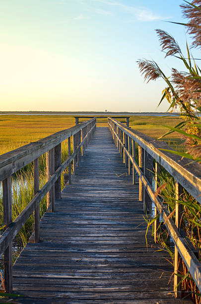 istock Wooden bridge leading into lake 525800030