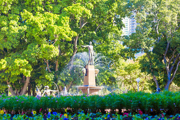 Sunny day in the park, Archibald fountain in Hyde park Sydney, Australia - April 26, 2016: Sunny day in the Hyde Park Sydney Australia with Archibald fountain, Hyde park in Sydney Australia with Archibald Fountain by French artist Francois-Leon Sicard. The Hyde park is oldest public parkland in Australia, hyde park flowers stock pictures, royalty-free photos & images