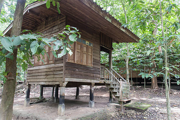 istock old asian traditional house 525801699