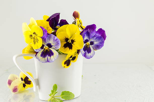istock Yellow and violet flowers in a vase 525802018