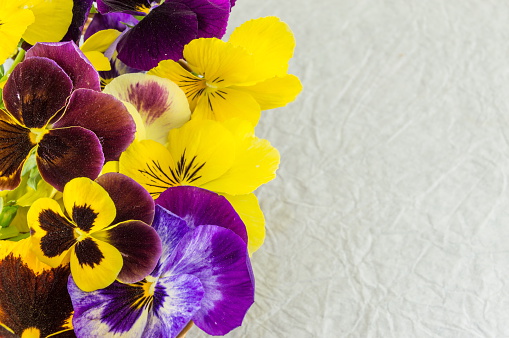 Yellow and violet flowers on white fabric