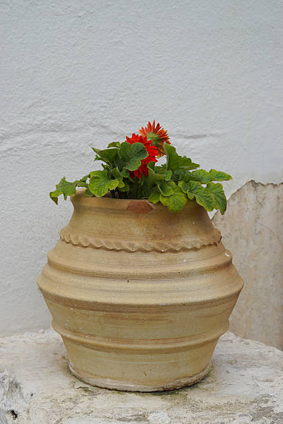 istock Brown pottery with flowers in Mykonos,Greece. 525804454