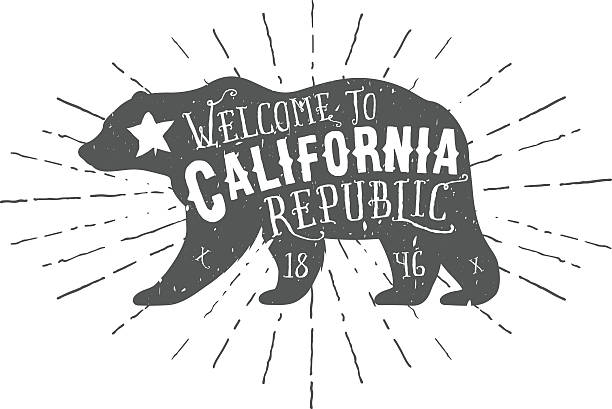 vintage california republic bear with sunbursts - kaliforniya illüstrasyonlar stock illustrations