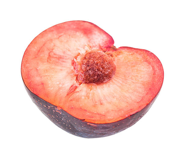 istock half of fresh blue plum closeup 525805901