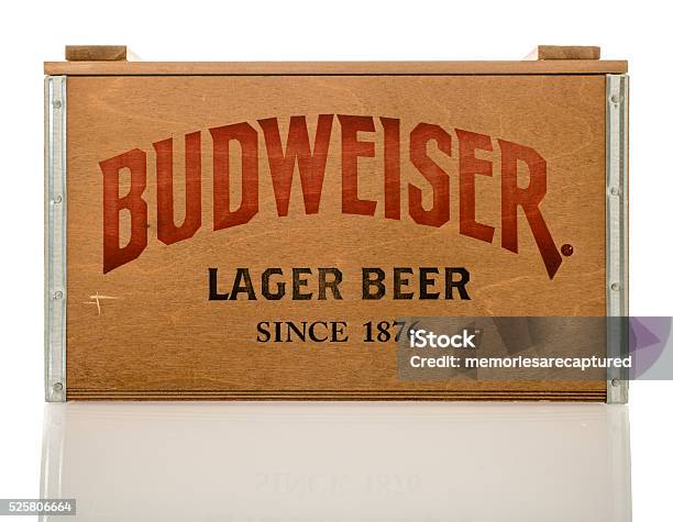 Budweiser Lager Beer Stock Photo - Download Image Now - Budweiser, Alcohol Abuse, Anheuser-Busch InBev