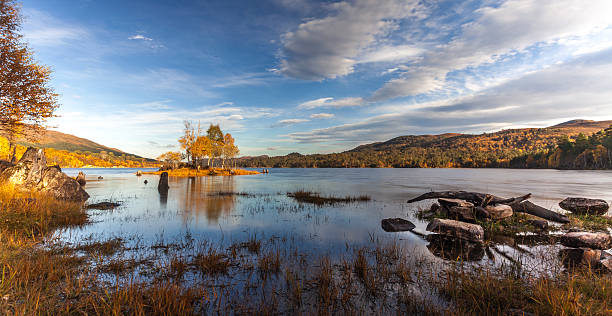 istock Sunshine on island in lake 525807994