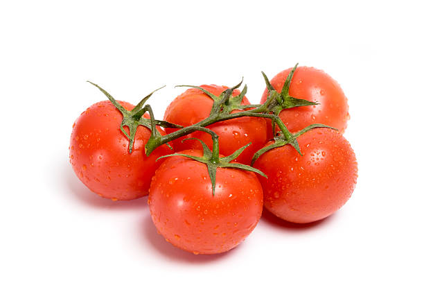 istock Sprig of red tomato with water drops 525810036
