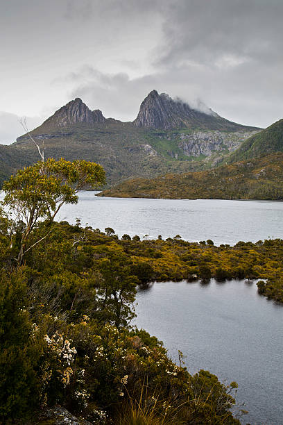 istock Cradle mountain and dove lake 525813060