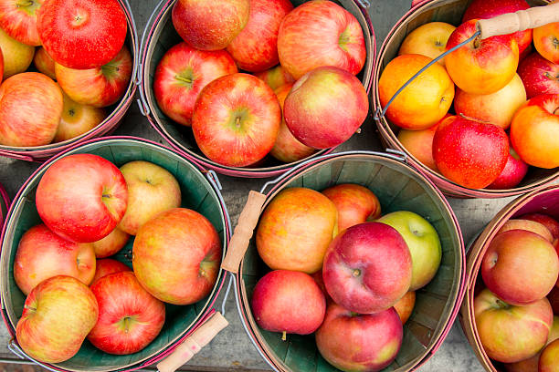 draufsicht von frame-äpfel im korb - apfelbaum stock-fotos und bilder