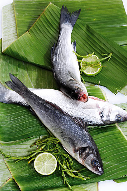 istock Seabass, loup de mer (Dicentrarchus labrax) on banana leaves 525828929