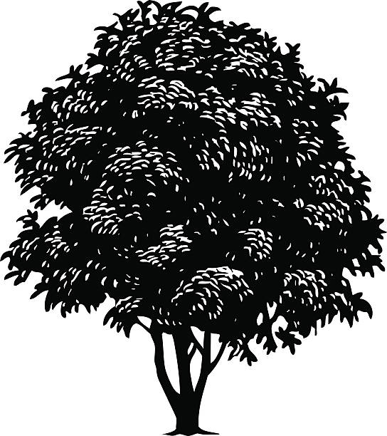 tree vector art illustration