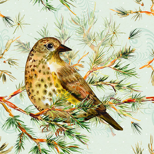 istock seamless texture with cute birds on pine branch watercolor 525830519