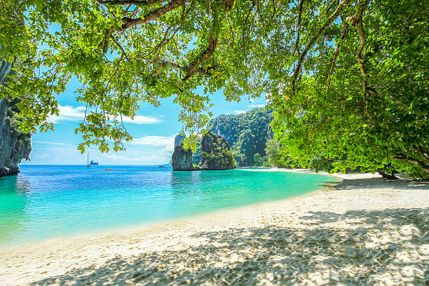 istock Hong Island - Krabi Thailand 525830739