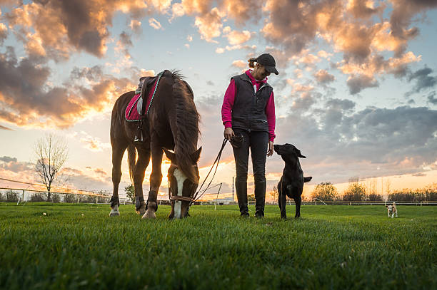 istock Girl and horse 525835075