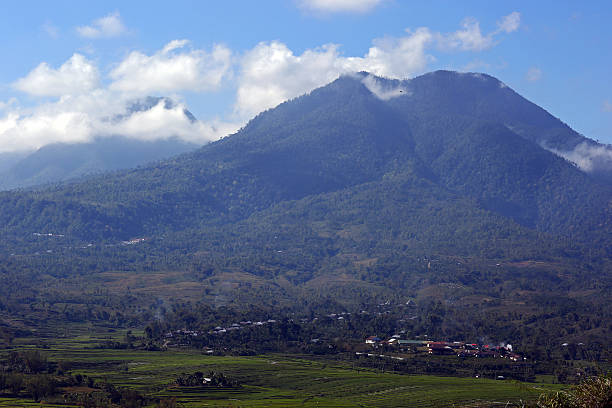 istock Indonesia: Little Likang in Flores 525857155