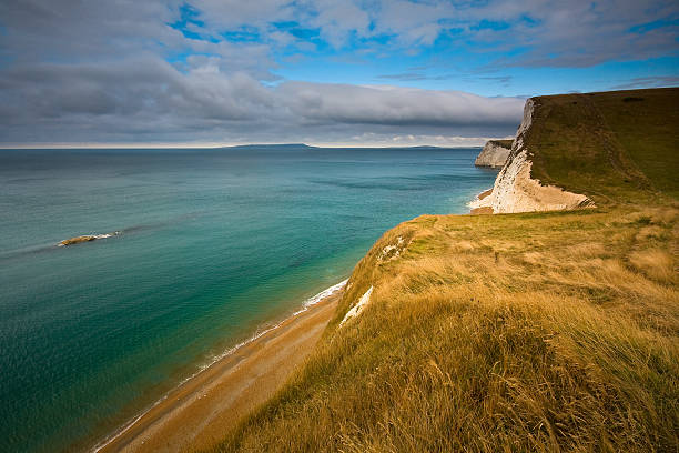 Serene seascape with calm blue waters and distant cliffs under a clear sky, ideal for backgrounds and nature themes in Bournemouth, England.